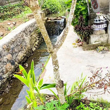 Joglo Breeze Guesthouse And Villa